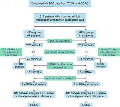 Distinguishable Prognostic miRNA Signatures of Head and Neck Squamous Cell Cancer With or Without HPV Infection